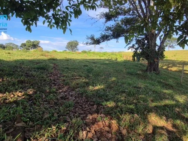 Imagem 10: Fazenda 97,13 Hectares 20,06 Alqueires em Uberlândia Mg