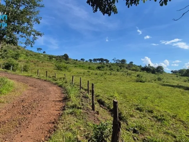 Imagem 5: Fazenda 97,13 Hectares 20,06 Alqueires em Uberlândia Mg