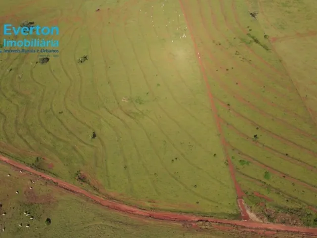 Imagem 13: Fazenda 97,13 Hectares 20,06 Alqueires em Uberlândia Mg