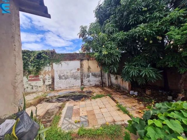 Imagem 5: Casa com 3 quartos, 2 vagas cobertas e quintal grande, em terreno de 360
