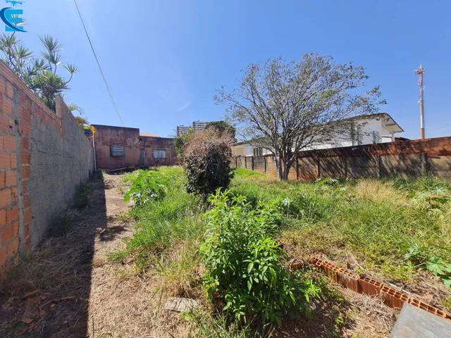Imagem 3: Terreno de 12X30=360M², Aclive, em Rua Plana e Larga. Vizinhança Boa