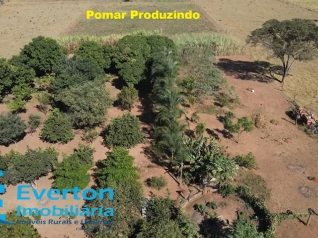 Imagem 16: Chácara com 7,50 hectares (1,54 alqueires) próximo a Uberlândia - MG