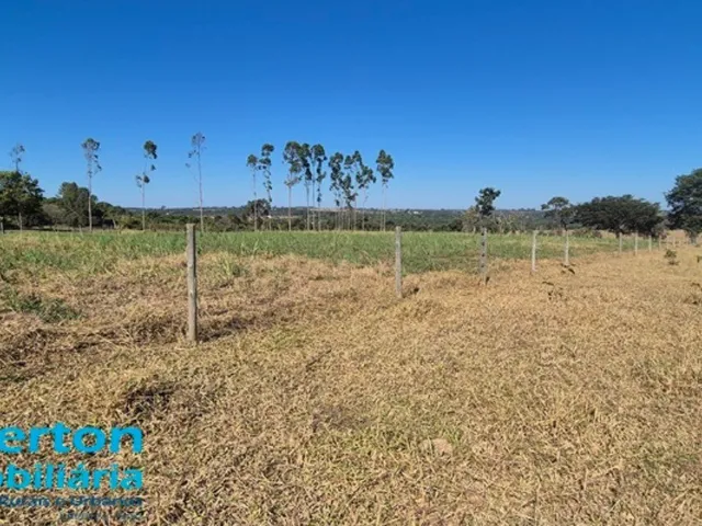 Imagem 2: Chácara com 7,50 hectares (1,54 alqueires) próximo a Uberlândia - MG