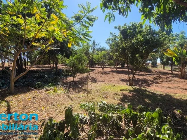 Imagem 13: Chácara com 7,50 hectares (1,54 alqueires) próximo a Uberlândia - MG