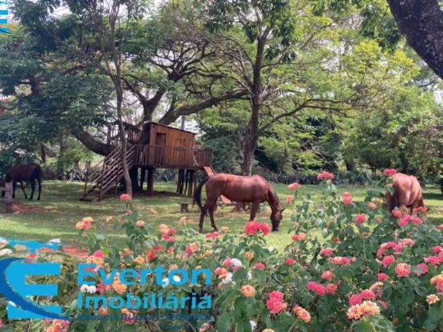 Imagem: Sitio no Município de Prata-Mg Aproximadamente