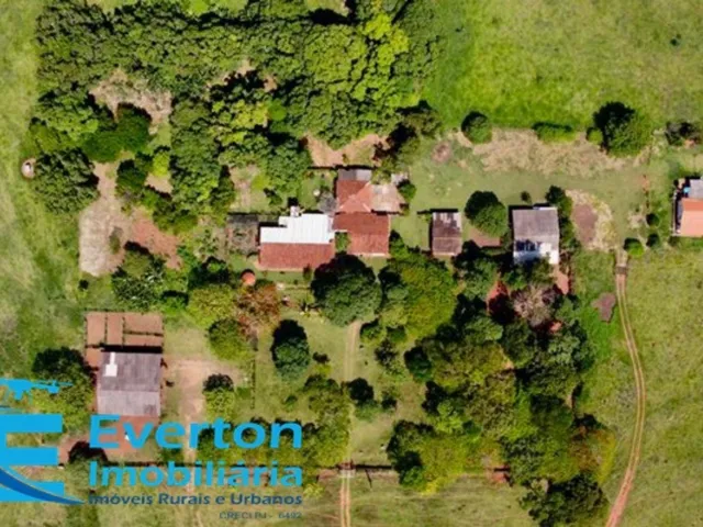 Imagem 15: Sitio no Município de Prata-Mg Aproximadamente 38 Hectares