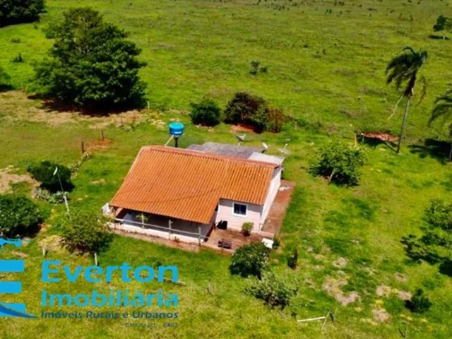 Imagem 7: Sitio no Município de Prata-Mg Aproximadamente 38 Hectares