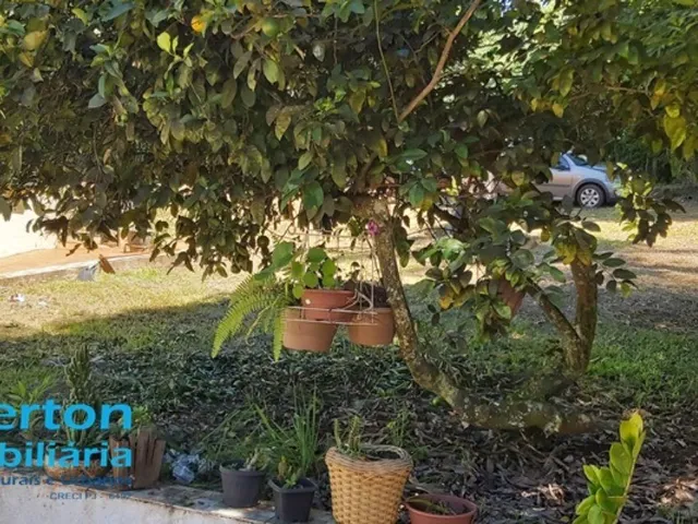Imagem 16: Chácara 20.000 m² em Uberlândia MG