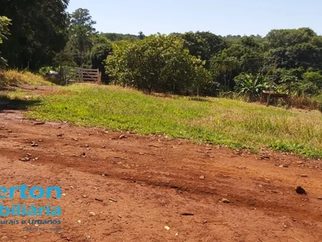 Imagem 12: Chácara 20.000 M² em Uberlândia Mg