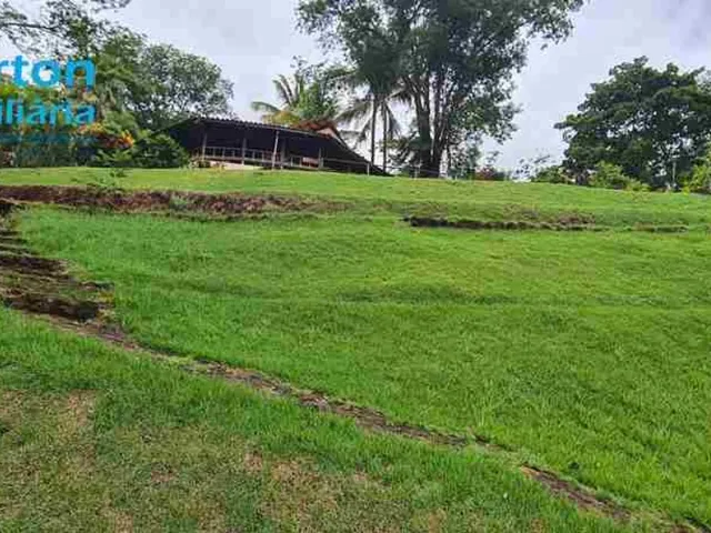 Imagem 5: Rancho 7.152m2 - OPORTUNIDADE ÚNICA ! Baía de Miranda - Valor R$3.500.000,00 - Moradia