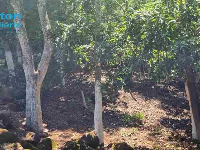 Imagem 12: Rancho Baía de Miranda - 3.015M2 - Moradia e Lazer - Valor R$1.500.000,00