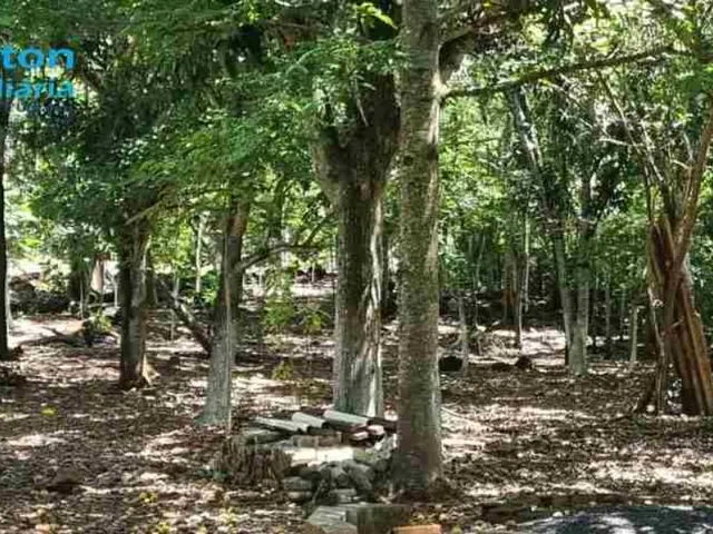 Imagem 15: Rancho Baía de Miranda - 3.015M2 - Moradia e Lazer - Valor R$1.500.000,00