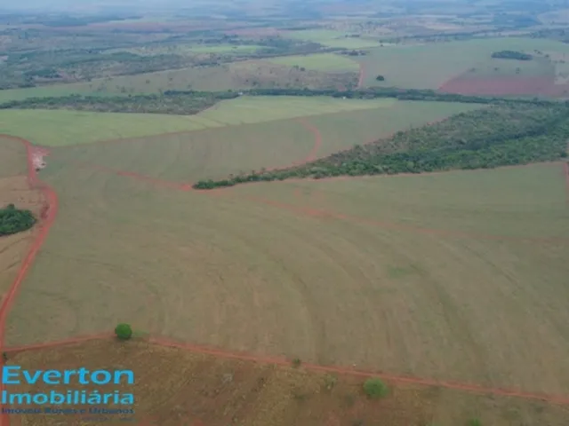Imagem: Fazenda no Município de Itapagipe - Mg