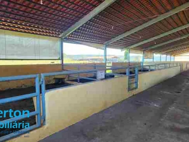 Imagem 15: 0 Fazenda / sítio com 3 dormitórios