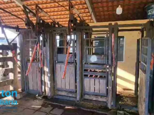 Imagem 14: 0 Fazenda / sítio com 3 dormitórios