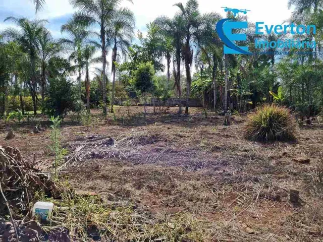 Imagem 16: Oportunidade Chácara 6.600 m2 - Represa Miranda