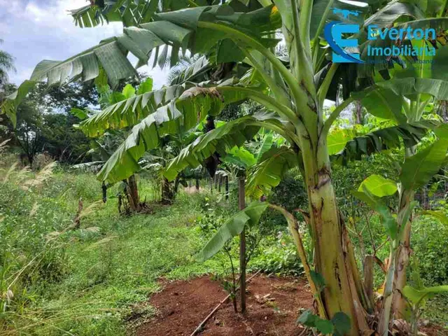 Imagem 11: Rancho Alto Padrão em fino acabamento de 10.000m2 no Miranda IV