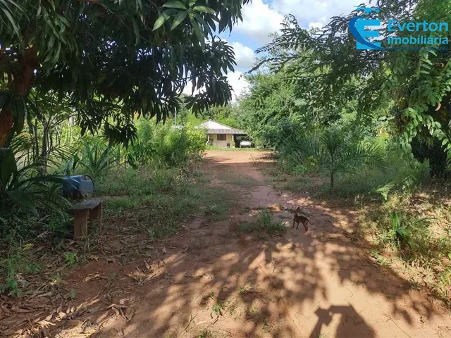 Imagem 11: Oportunidade ! Sítio com 3,94Alqueires em Uberlândia