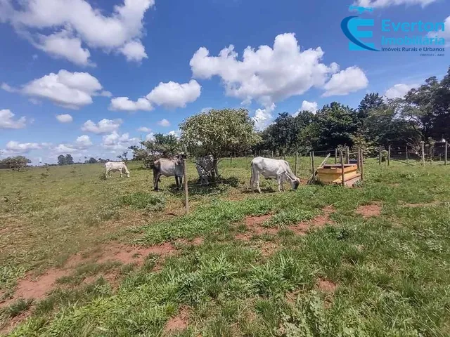 Imagem 2: Oportunidade ! Sítio com 3,94Alqueires em Uberlândia
