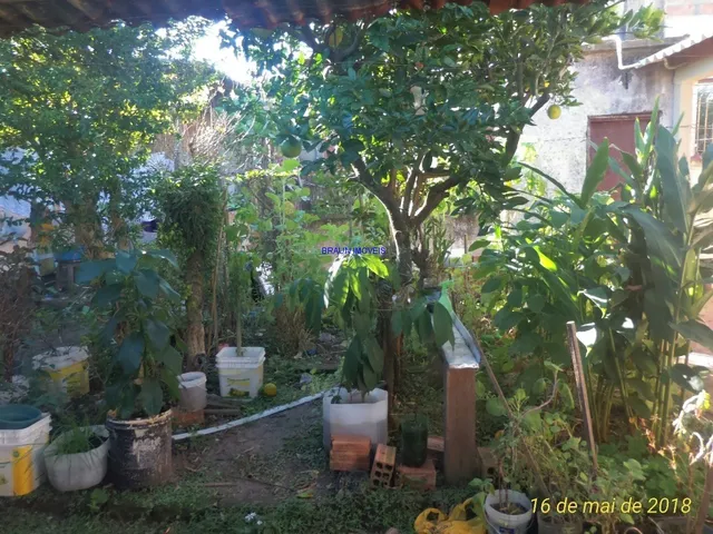 Imagem 12: 02 Casas de alvenaria em terreno de 10x30, murado e com grades altas, Casa da frente com