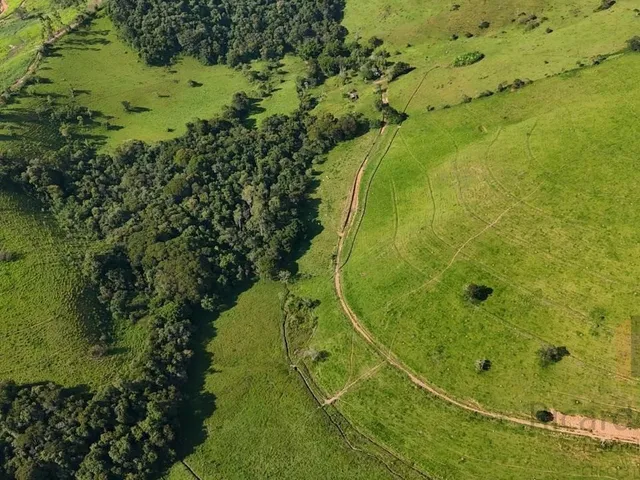 Imagem 10: Imperdível fazenda de luxo em Conceição dos Ouros-MG: 4 quartos, 4 suítes, 3 salas, 4