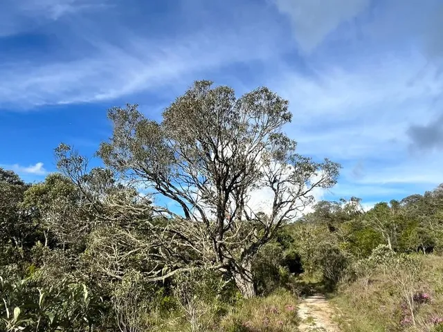 Imagem 2: Terreno à venda em Delfim Moreira-MG: 38ha de oportunidade única no bairro!