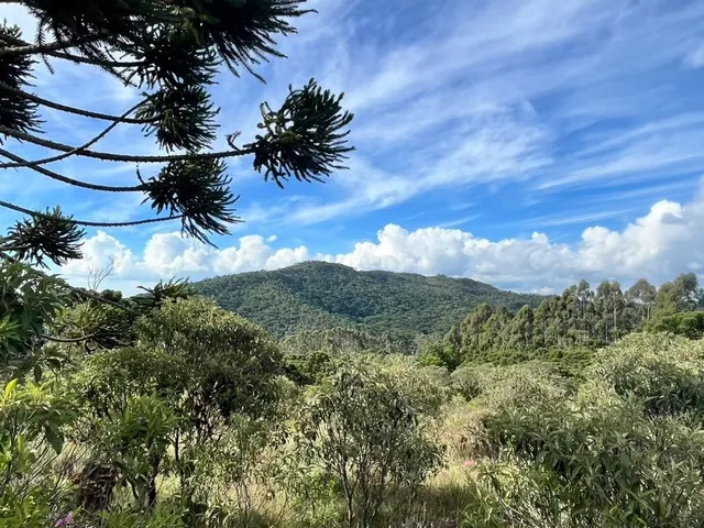 Imagem 5: Terreno à venda em Delfim Moreira-MG: 38ha de oportunidade única no bairro!