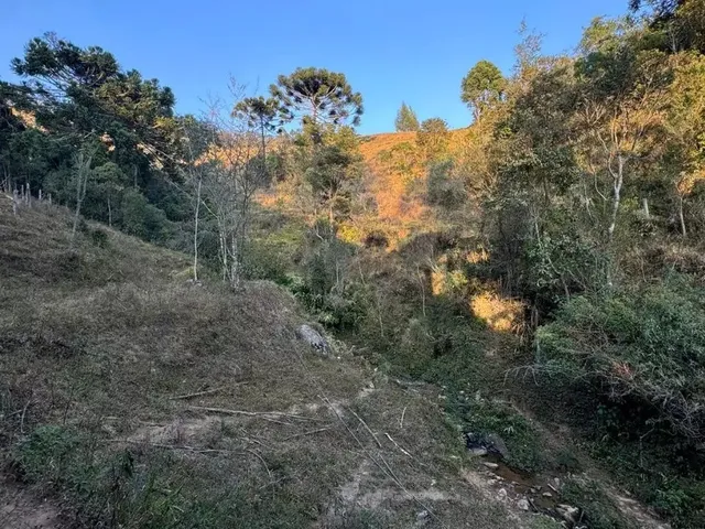 Imagem 11: Fazenda de 55,16 hectares em Delfim Moreira-MG, bairro Rosário com casa 3 quartos, 3