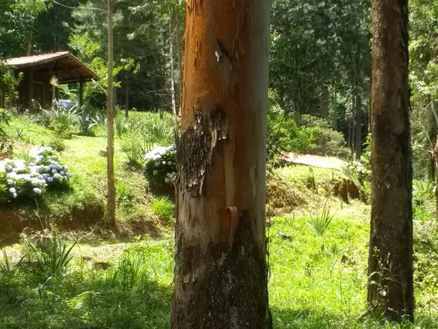 Imagem 3: Vendo 7 cachoeiras nas terras altas da Mantiqueira, lugar mágico