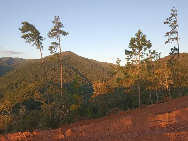Imagem 2: Vendo Terreno Espetacular Localizado nas Terras Altas da Mantiqueira, em Delfim Moreira, na da Área da Fazenda Boa