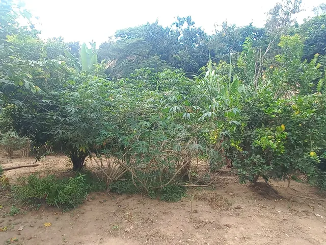 Imagem 15: Vendo chácara na Água Limpa