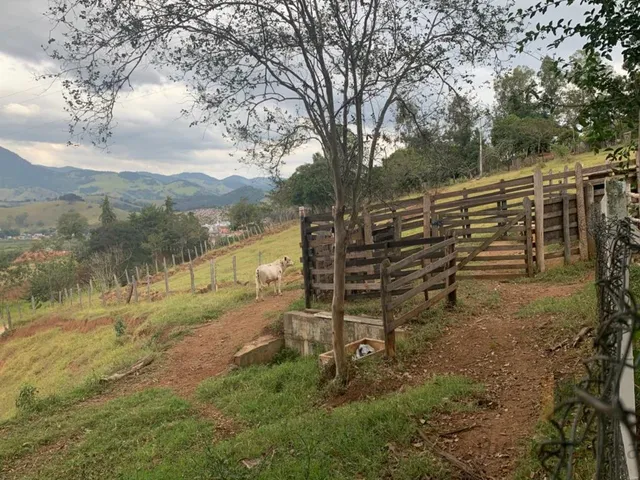 Imagem 10: CHACARA RURAL em ITAJUBÁ - MG, PIEDADE
