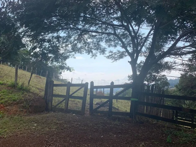 Imagem 2: Vendo sítio excelente em Piranguinho