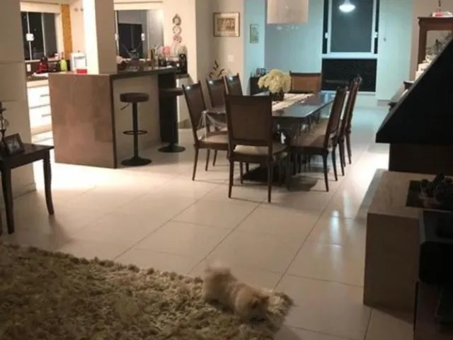 Imagem 5: Vendo ou troco uma casa linda no Pinheirinho, imóvel urbano em meio a natureza com muito