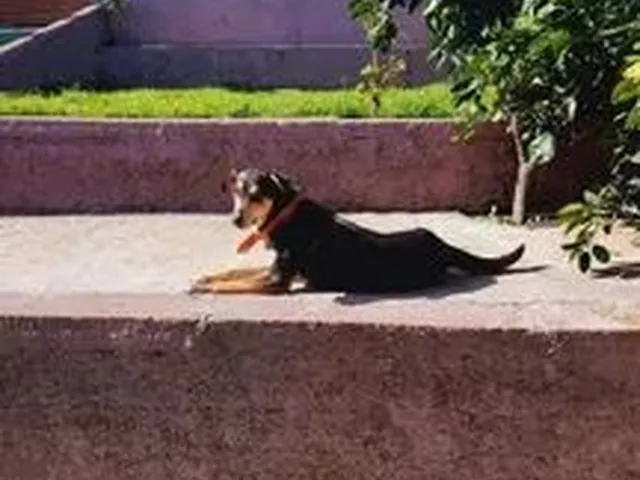 Imagem 3: Vendo 2 Casa em Um Terreno 9X48 em Alvorada