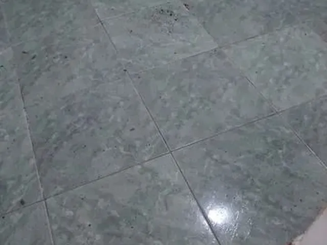 Imagem 4: Alugo Casa Alecrim