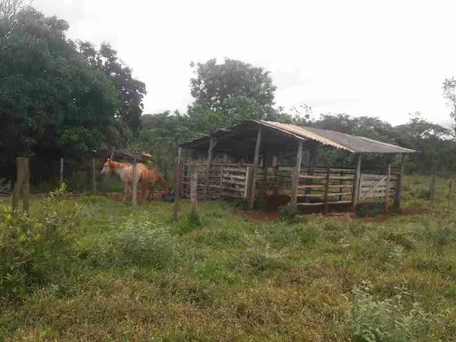 Imagem 5: Chácara Formada Perto de Bandeirante