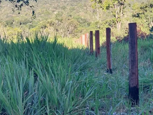 Imagem 1: Sitio em Cáceres