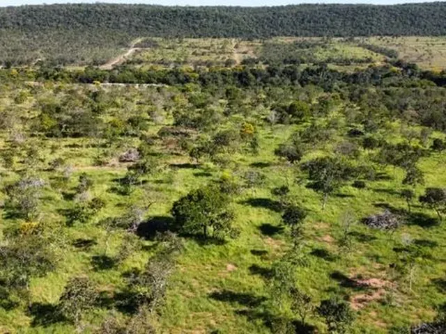 Imagem 2: Sitio em Cáceres