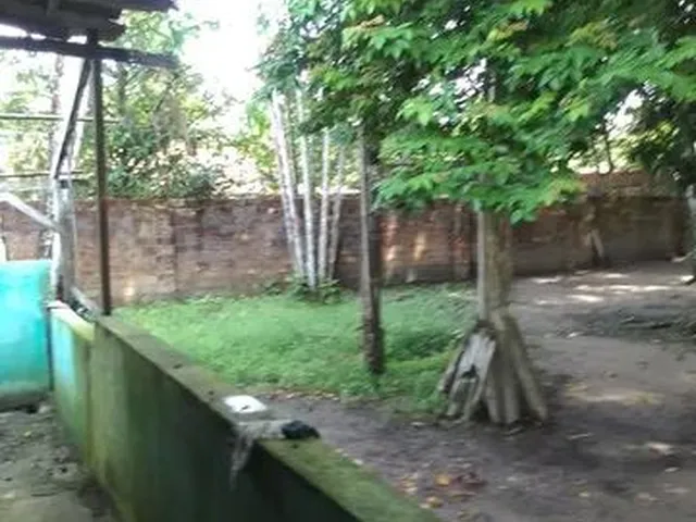 Imagem: Sítio para Venda