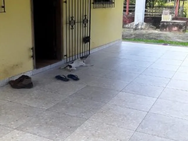 Imagem: Chácara À Venda em Condominio Fechado