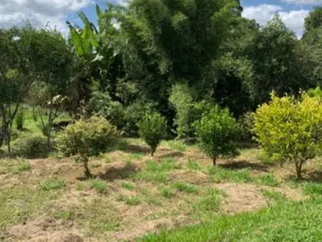 Imagem 7: Lindo Sítio em Antônio Carlos Mg