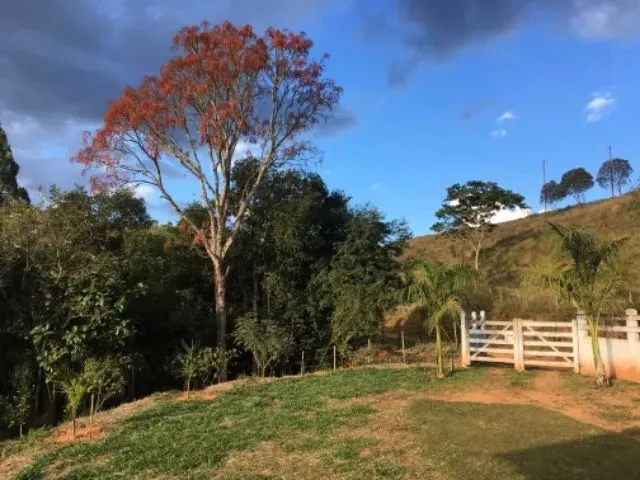 Imagem 16: Lindo Sítio em Antônio Carlos Mg