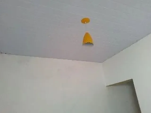 Imagem 6: Barracao 2 Quartos Sem Garagem