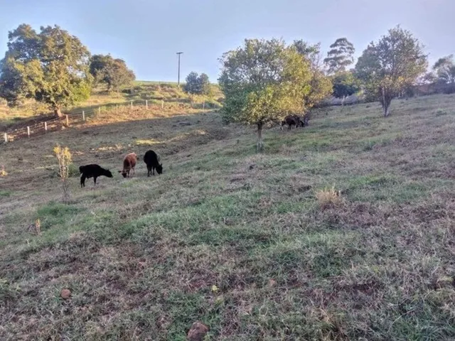 Imagem 5: Sitio em Buenos Aires