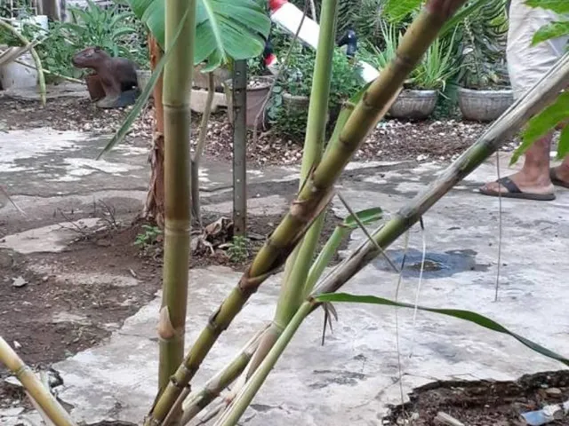 Imagem 2: Terreno - Cuiabá