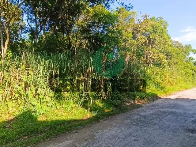 Imagem: Terrenos com 140M² Cada, Localizados no