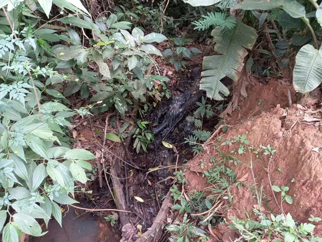 Imagem 7: FAZENDA EM CERRADO PARA INVESTIMENTO EM PATROCÍNIO/MG