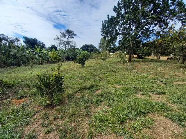 Imagem 9: FAZENDA EM CERRADO PARA INVESTIMENTO EM PATROCÍNIO/MG