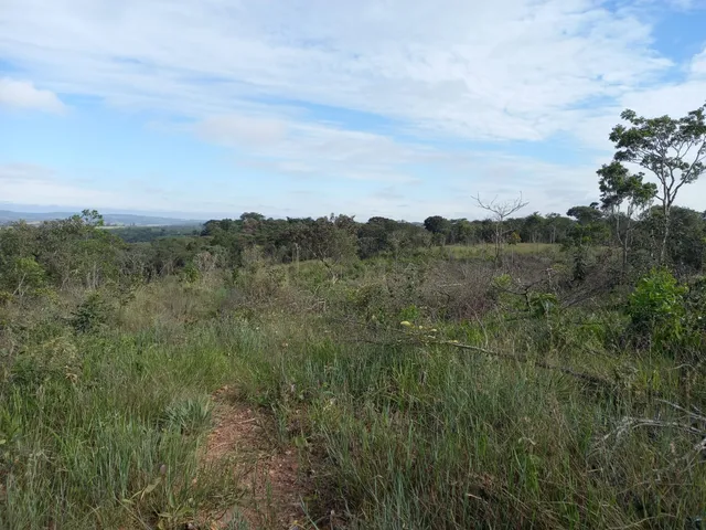 Imagem 5: FAZENDA EM CERRADO PARA INVESTIMENTO EM PATROCÍNIO/MG
